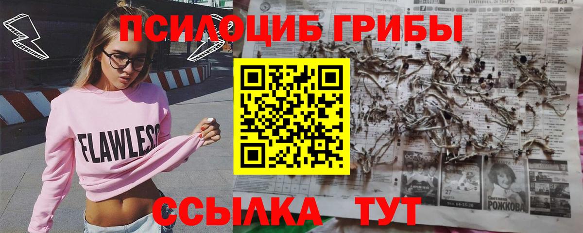 Углич  Псилоцибиновые грибы MAGIC MUSHROOMS  Вход с VPN  Галлюциногенные грибы Cubensis 
