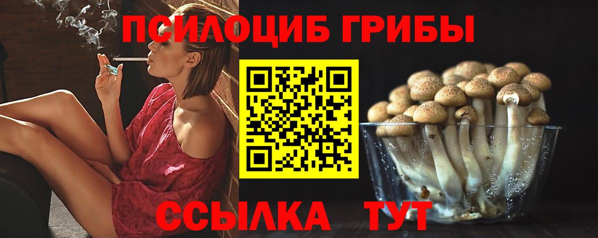 Псилоцибиновые грибы Psilocybine cubensis Углич