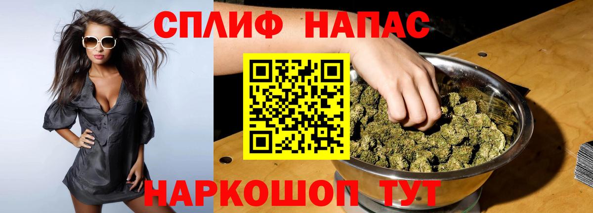 Бошки Шишки планчик Углич